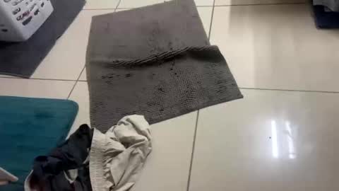 nesquick741960 online show from December 22, 2025, 12:02 pm