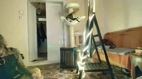 nessieanalemma online show from February 5, 2026, 12:43 pm