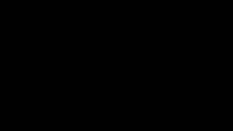 Snapshot of never_forget_this chatting on February 14, 2026, 2:41 am never_forget_this online show from February 14, 2026, 2:41 am
