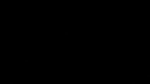 Snapshot of never_forget_this chatting on May 4, 2026, 10:28 pm never_forget_this online show from May 4, 2026, 10:28 pm