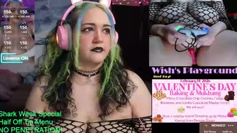 Snapshot of nevermakeawish chatting on February 11, 2026, 4:45 pm Wishs Playground online show from February 11, 2026, 4:45 pm