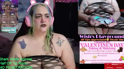 Snapshot of nevermakeawish chatting on February 12, 2026, 4:57 pm Wishs Playground online show from February 12, 2026, 4:57 pm