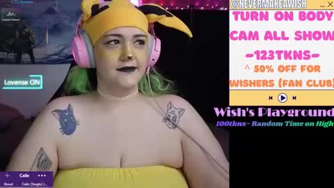 Snapshot of nevermakeawish chatting on February 17, 2026, 3:40 pm Wishs Playground online show from February 17, 2026, 3:40 pm