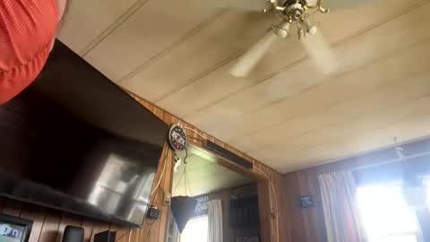 neversaynevrrr online show from November 1, 2025, 5:37 pm