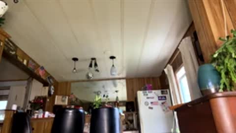 neversaynevrrr online show from April 18, 2026, 7:51 pm