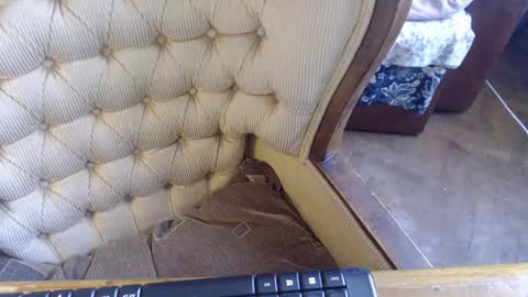 Lilly  online show from February 23, 2025, 11:11 am