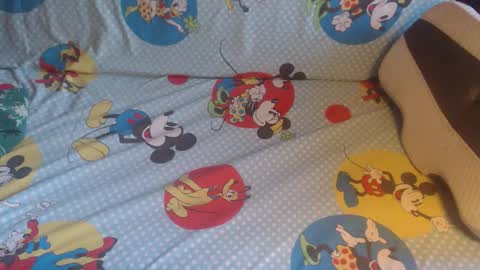 Lilly  online show from October 23, 2025, 2:38 pm