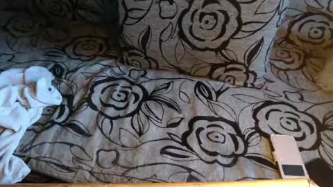 Lilly  online show from April 8, 2026, 4:07 pm