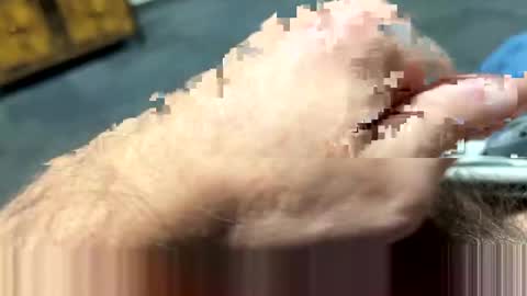 ngianop online show from February 7, 2025, 7:40 am