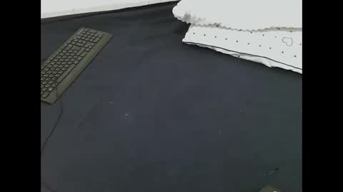 nia_0 online show from March 16, 2026, 8:51 am