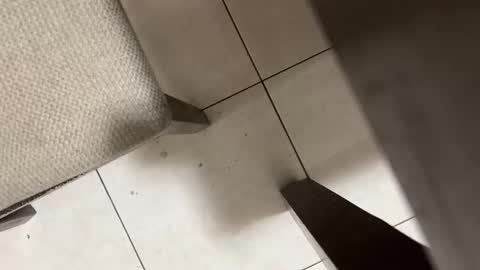 Snapshot of nicocar83pty chatting on March 2, 2026, 9:05 am Carlos Nico online show from March 2, 2026, 9:05 am