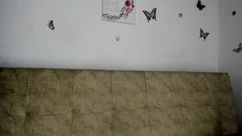 Nicol online show from December 7, 2024, 9:17 am