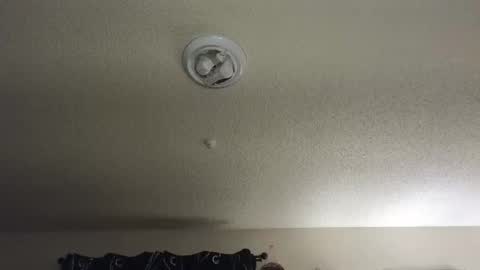 Nikki Mastersgirl1091 online show from November 27, 2025, 12:29 pm