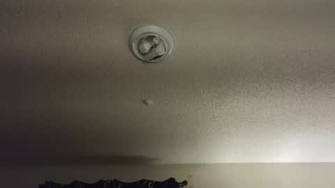 Nikki Mastersgirl1091 online show from December 4, 2025, 2:15 pm