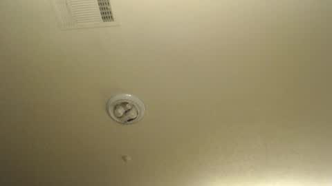 Nikki Mastersgirl1091 online show from March 19, 2026, 1:15 pm