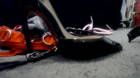 Niquita Sparkles online show from January 22, 2025, 6:20 am