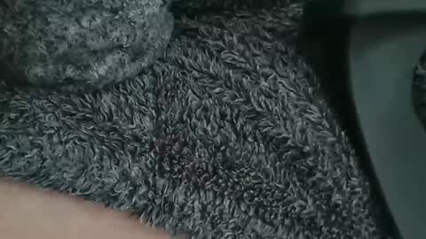 nineinchhard online show from April 9, 2026, 9:15 am