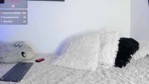 Noah online show from January 20, 2025, 3:26 am