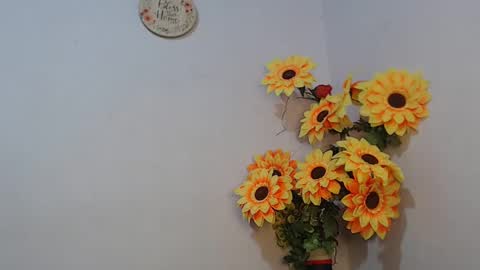 Snapshot of noah_miller7 chatting on January 6, 2025, 7:52 am Noah Millers online show from January 6, 2025, 7:52 am