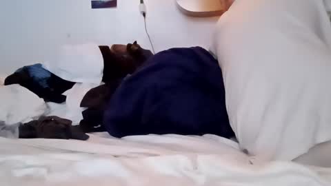 Snapshot of noah_wesley chatting on January 18, 2025, 2:12 pm Noah Wesley online show from January 18, 2025, 2:12 pm