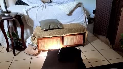 nobudget06 online show from February 16, 2025, 4:42 pm