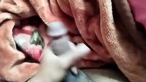 sim  nib online show from December 28, 2024, 5:44 am