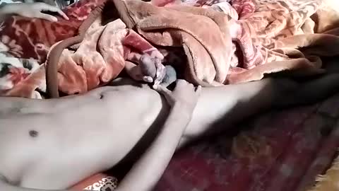 sim  nib online show from January 28, 2025, 6:38 am