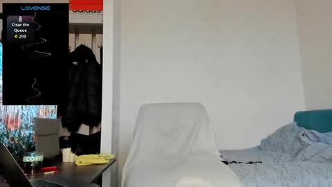 North stallions online show from February 19, 2026, 7:04 am