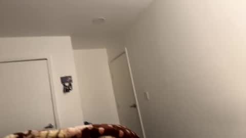 se le perdio algo perra hp online show from December 6, 2024, 8:15 am