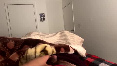 se le perdio algo perra hp online show from February 24, 2025, 8:06 am