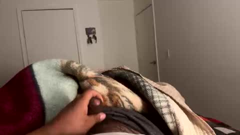 se le perdio algo perra hp online show from January 15, 2026, 7:57 am