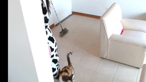 novaperotti online show from September 14, 2025, 2:05 pm