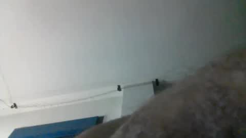 nqbzawcgchyk online show from March 13, 2026, 2:29 am