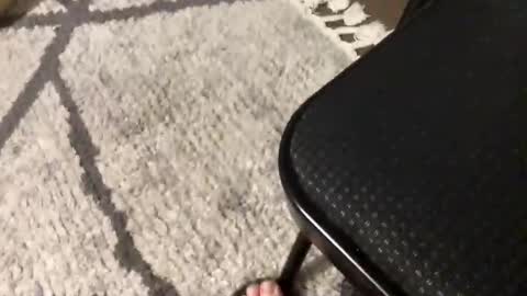 Snapshot of nursesteve chatting on November 1, 2025, 2:57 am nursesteve online show from November 1, 2025, 2:57 am