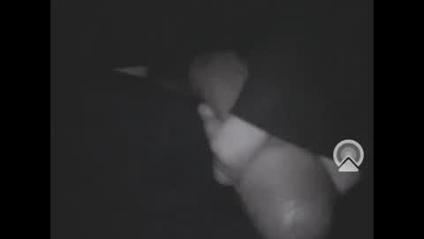 nympham online show from April 4, 2026, 7:06 am