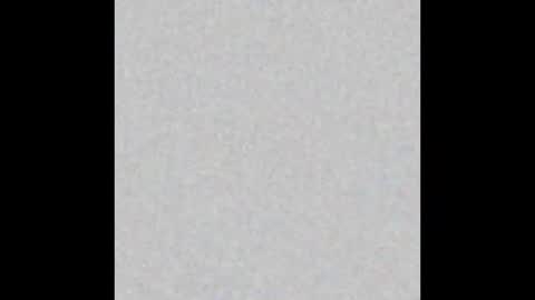 Obsidian stallion online show from January 12, 2026, 11:43 pm