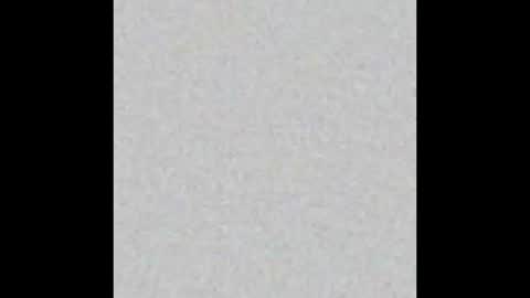 Obsidian stallion online show from February 9, 2026, 8:07 am