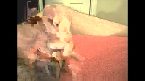 Snapshot of odinsslave chatting on February 28, 2026, 3:46 pm odinswarrior online show from February 28, 2026, 3:46 pm