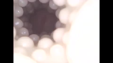 ohioguy4201985 online show from April 13, 2026, 1:05 pm