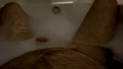 Snapshot of oldbones2 chatting on February 9, 2025, 3:11 am oldbones2 online show from February 9, 2025, 3:11 am