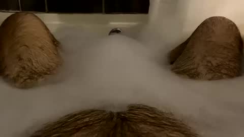 Snapshot of oldbones2 chatting on February 16, 2025, 2:20 am oldbones2 online show from February 16, 2025, 2:20 am