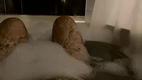 Snapshot of oldbones2 chatting on February 24, 2025, 2:51 am oldbones2 online show from February 24, 2025, 2:51 am