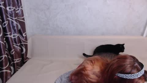 Olivia online show from September 14, 2025, 1:49 am