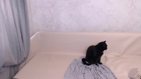 Olivia online show from October 5, 2025, 11:41 am