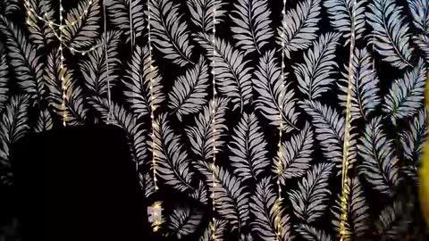 Kelly online show from November 29, 2025, 3:59 pm