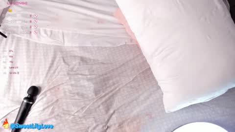 Snapshot of olsenspring chatting on February 27, 2025, 9:11 am Lily dont forget to follow me  good to see you all online show from February 27, 2025, 9:11 am