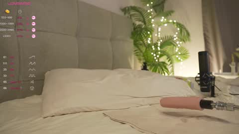 Snapshot of olsenspring chatting on March 1, 2025, 6:21 pm Lily dont forget to follow me  good to see you all online show from March 1, 2025, 6:21 pm