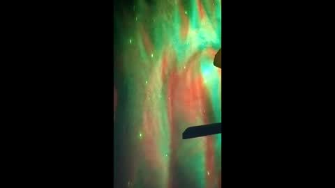 Dumbass Im done online show from March 2, 2026, 10:22 am