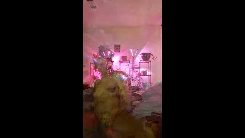 onfleektigress online show from May 3, 2026, 11:33 pm