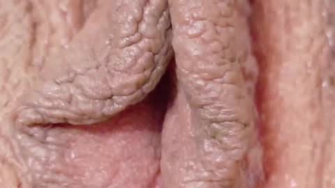 Snapshot of orchidekitty chatting on February 1, 2026, 9:13 pm orchidekitty online show from February 1, 2026, 9:13 pm